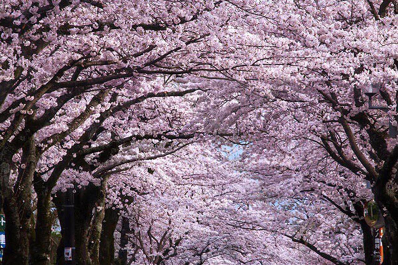 Rinkangekijo 伊东 外观 照片